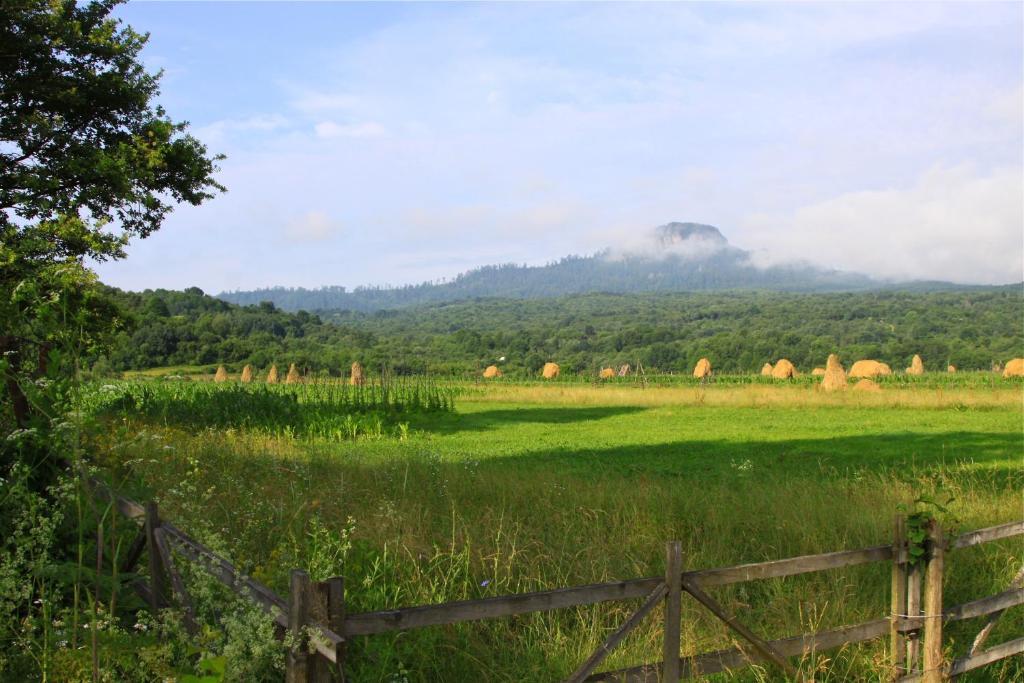 Ileana Sapanta Hotel Bagian luar foto