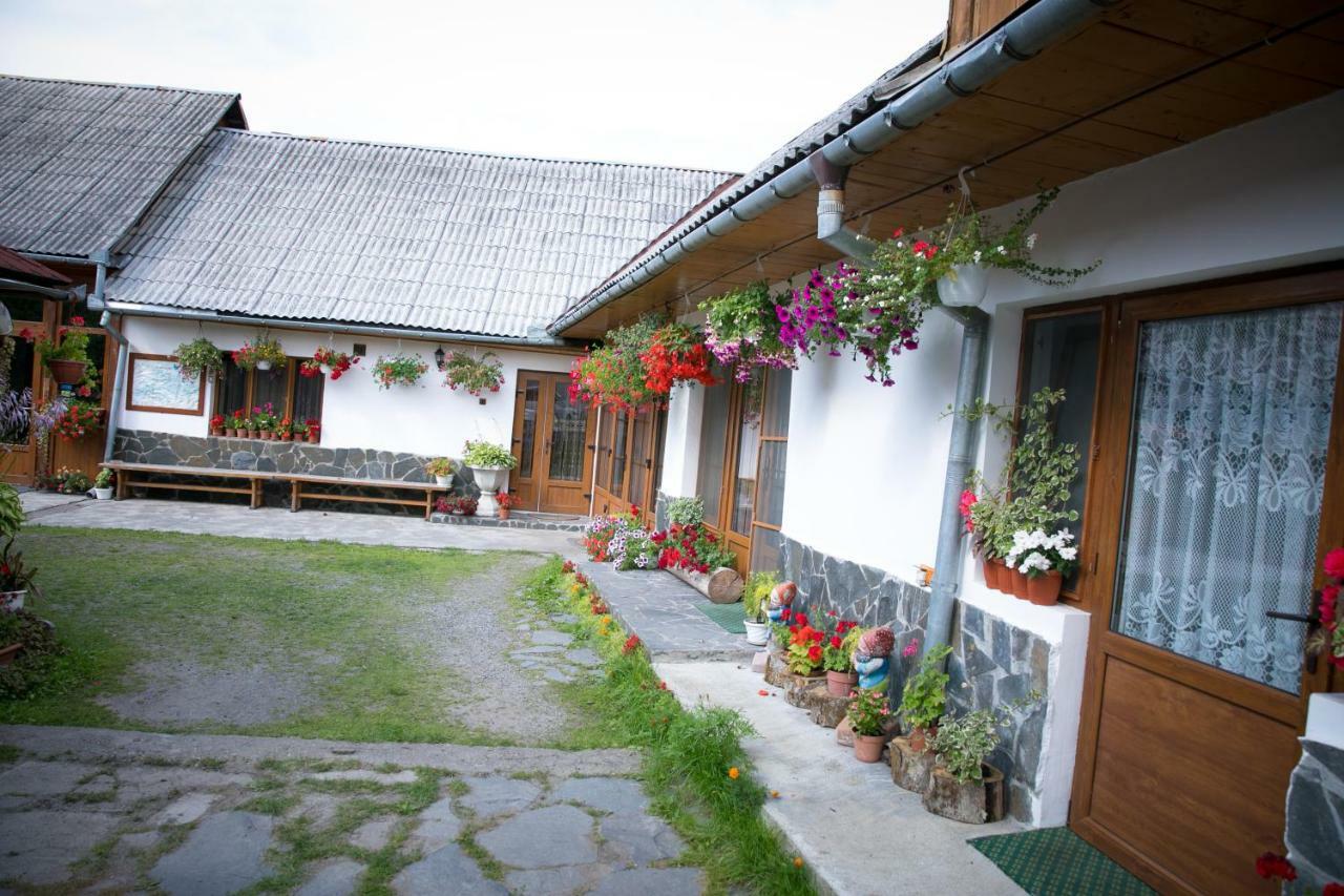 Ileana Sapanta Hotel Bagian luar foto